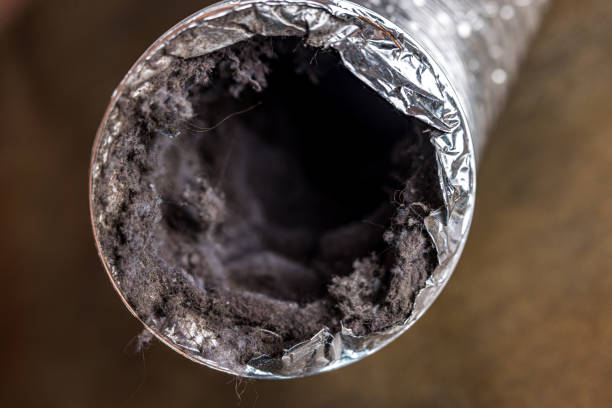 Best HVAC Air Duct Cleaning  in Orangevale, CA
