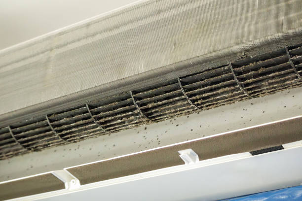 Best Air Vent Cleaning Services  in Orangevale, CA